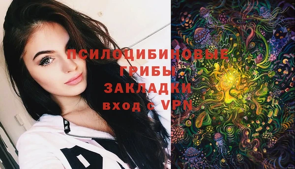не бодяженный Нязепетровск